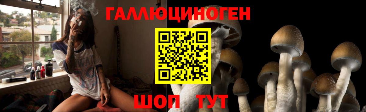 Черногорск  Псилоцибиновые грибы прущие грибы  Вход с VPN 